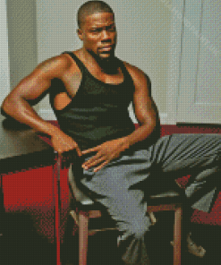 Kevin Hart Portrait Diamond Painting