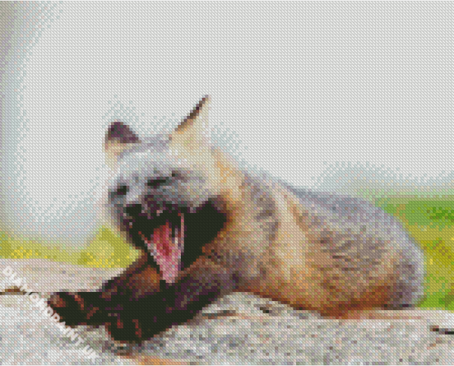 Melanistic Fox Yawning Diamond Painting