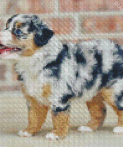 Mini Aussie Puppy Diamond Painting