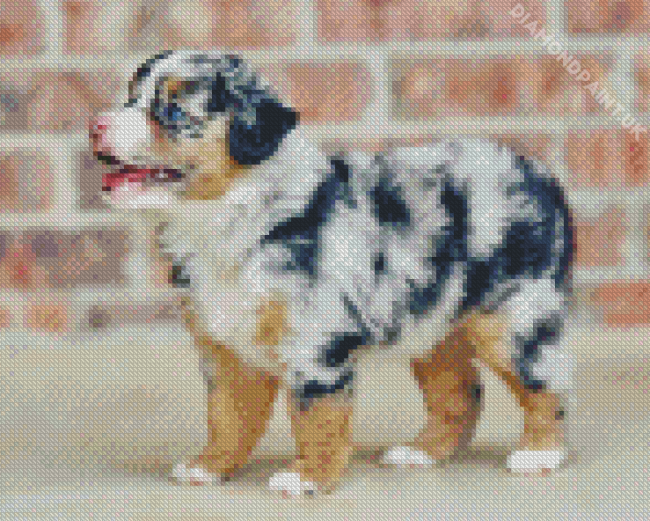 Mini Aussie Puppy Diamond Painting