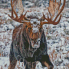 Moose In Winter Diamond Painting