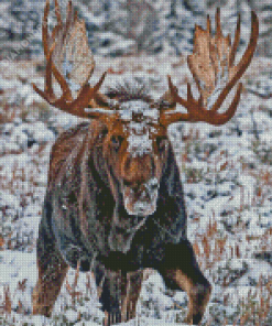 Moose In Winter Diamond Painting