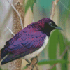 Purple Bird On Tree Diamond Painting