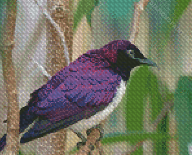 Purple Bird On Tree Diamond Painting