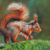 Red Squirrel On Branch Art Diamond Painting