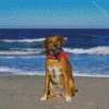 Rhodesian Ridgeback Dog In The Beach Diamond Painitng