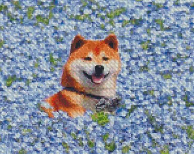 Shiba In Blue Flower Field Diamond Painting