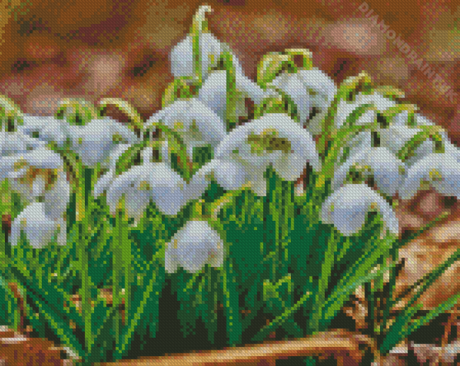 Snowdrops Flowers Plants Diamond Painting