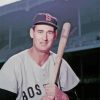 Ted Williams Basball Player Diamond Painting