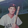 Ted Williams Basball Player Diamond Painting