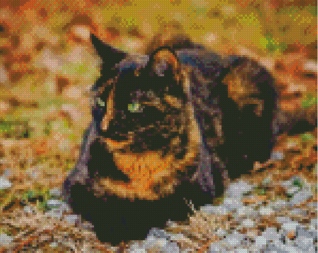 Tortoiseshell Cat Diamond Painting