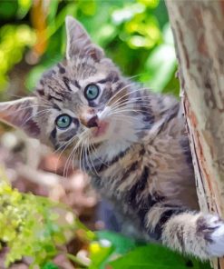 Tree Kitten Animal Diamond Painting
