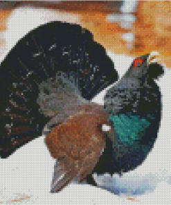 Western Capercaillie In Snow Diamond Painting