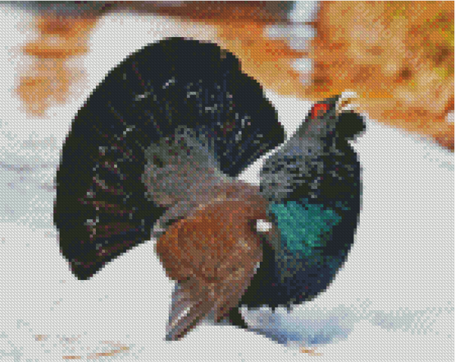 Western Capercaillie In Snow Diamond Painting