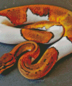White And Brown Ball Python Snake Diamond Painting
