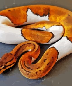White And Brown Ball Python Snake Diamond Painting
