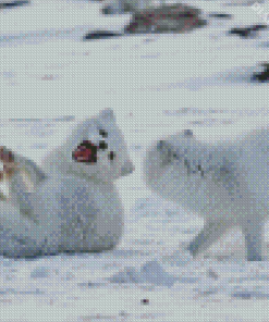 Animals In Snow Diamond Painting