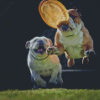 Bulldogs Playing With Frisbee Diamond Painting