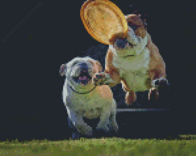 Bulldogs Playing With Frisbee Diamond Painting