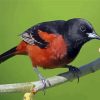 Cool Orchard Oriole Diamond Painting