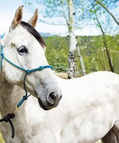 Cute White Horse Diamond Painting