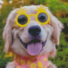 Dog Wearing Yellow Funny Glasses Diamond Painting