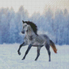 Horse Snow Diamond Painting