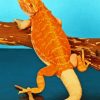 Red Orange Bearded Dragons Diamond Painting