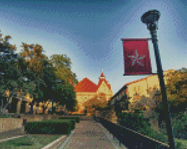 Texas State University US Diamond Painting