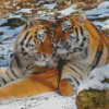 Tigers In Love In Snow Diamond Painting