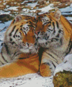 Tigers In Love In Snow Diamond Painting
