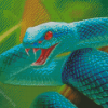 Trimeresurus Insularis Blue Snake Diamond Painting