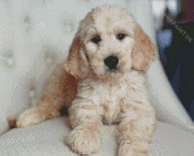 White Golden Doodle Puppy Diamond Painting