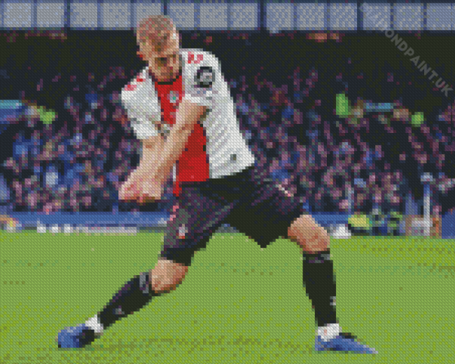 James Ward Prowse Footballer Diamond Painting