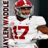 Jaylen Waddle Poster Diamond Painting