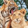 Lion And Tiger Cubs Animals Diamond Painting