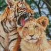 Lion And Tiger Cubs Animals Diamond Painting