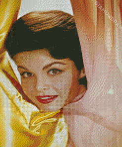 Cool Annette Funicello Diamond Painting