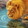 Lion Drinking Water For Diamond Painting