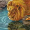 Lion Drinking Water For Diamond Painting