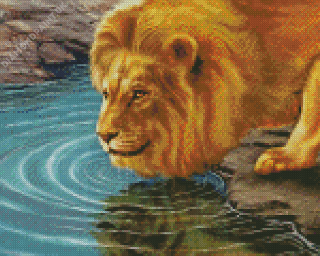 Lion Drinking Water For Diamond Painting