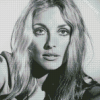 Monochrome Sharon Tate Diamond Painting