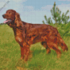 Irish Setter Dog 5D Diamond Painting