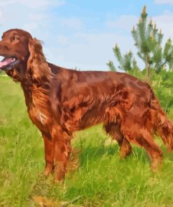 Irish Setter Dog 5D Diamond Painting