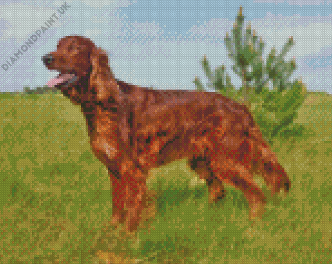 Irish Setter Dog 5D Diamond Painting