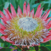 King Protea Diamond Painting