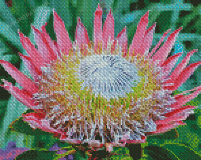 King Protea Diamond Painting