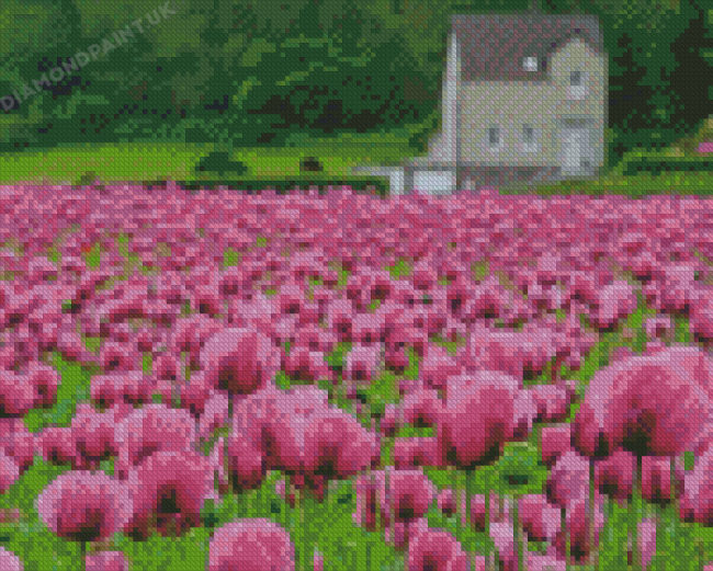 Purple Poppy Field 5D Diamond Painting