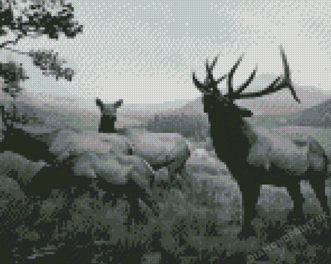 Black And White Elks Diamond Painting