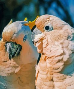 Cockatoos Couple Birds Diamond Painting